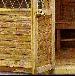 SUMMERHOUSES - Close up photos