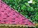LOG CABINS - Straight or scalloped fascias